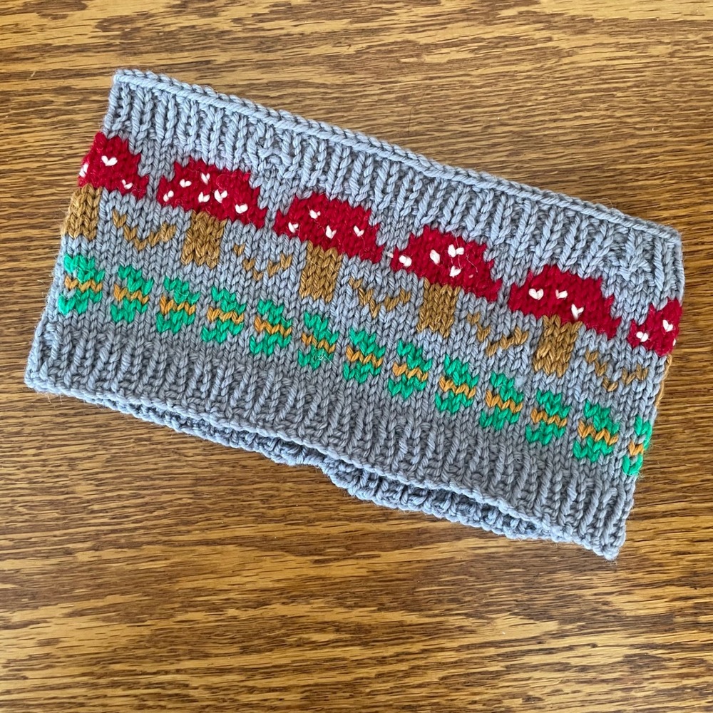 Adult Ski Snow Headband Earband Ear Warmer 90s Mushrooms Cottage Shrooms Winter